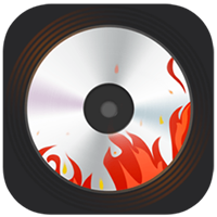 DVD Burner - Lifetime