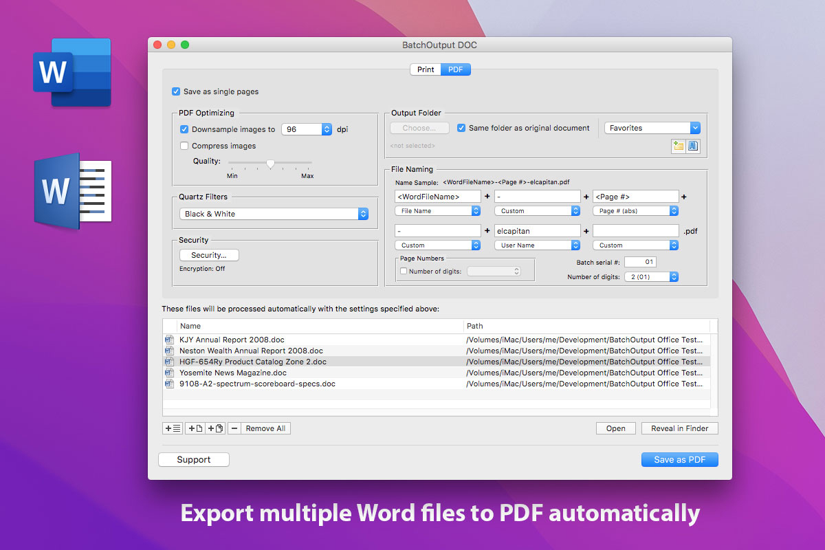 BatchOutput DOC for Microsoft Word Screenshot 1