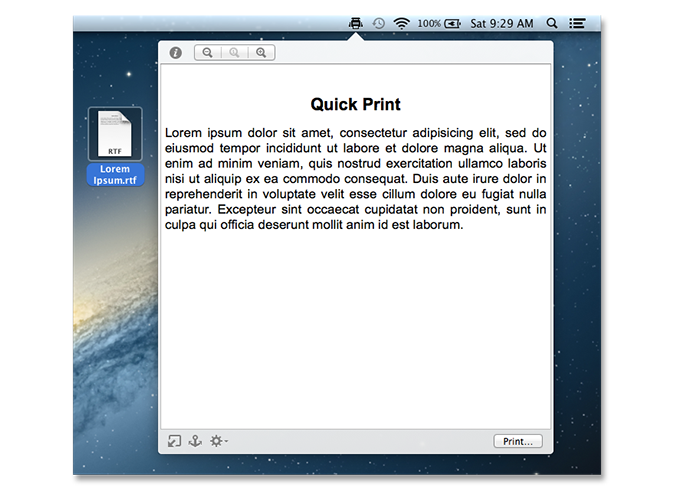 Quick Print Screenshot 1