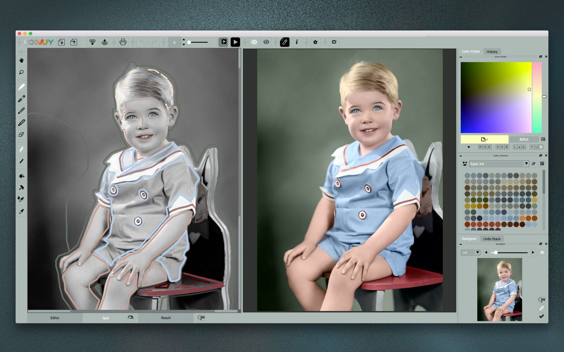 CODIJY Colorizer Pro Screenshot 1