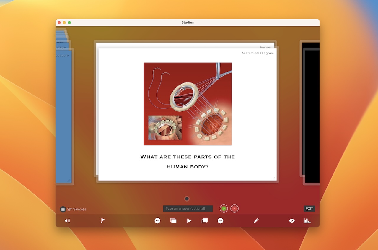 Studies Screenshot 1