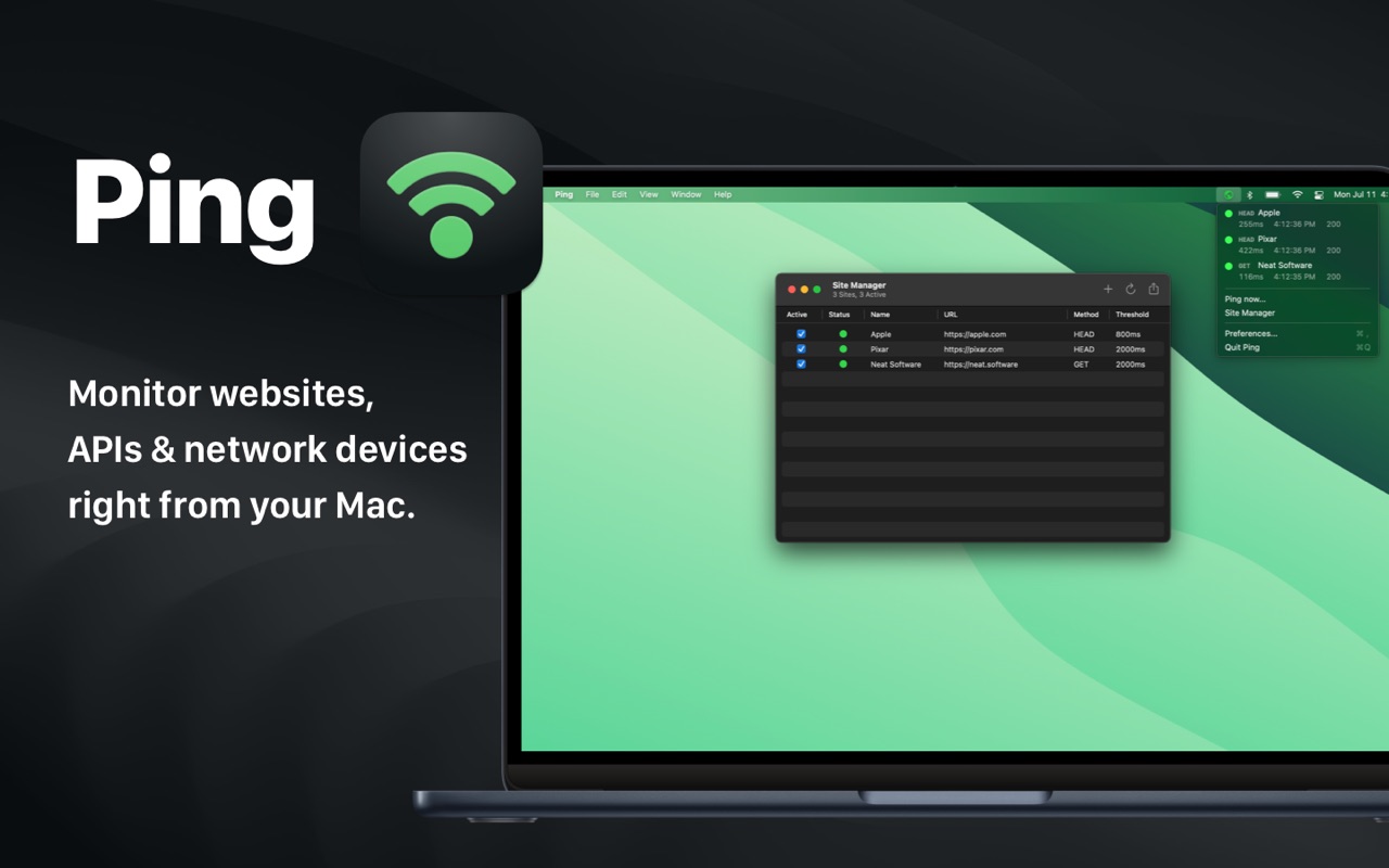 Ping Uptime Monitor Pro Screenshot