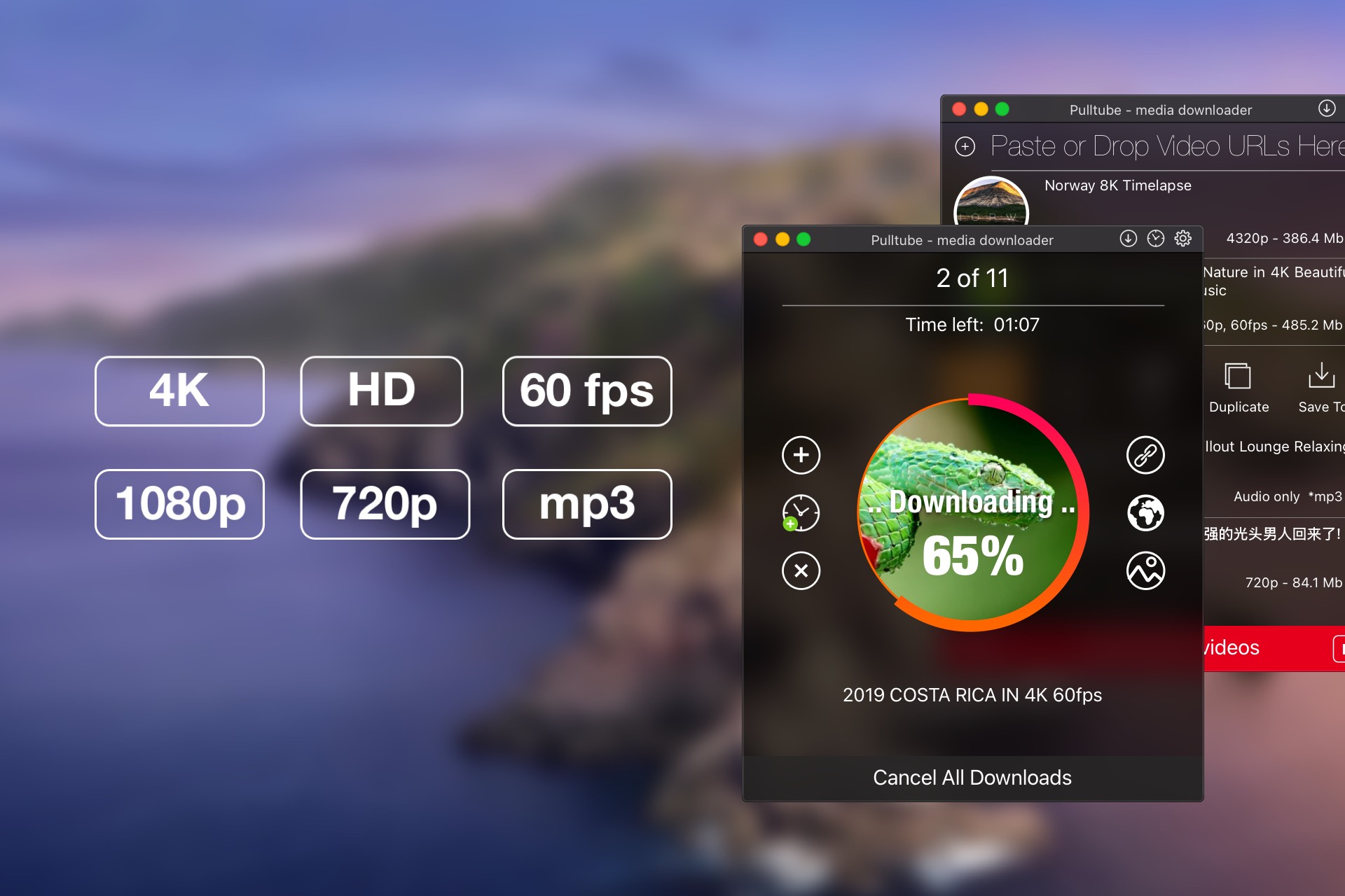Pulltube for Mac Screenshot 1