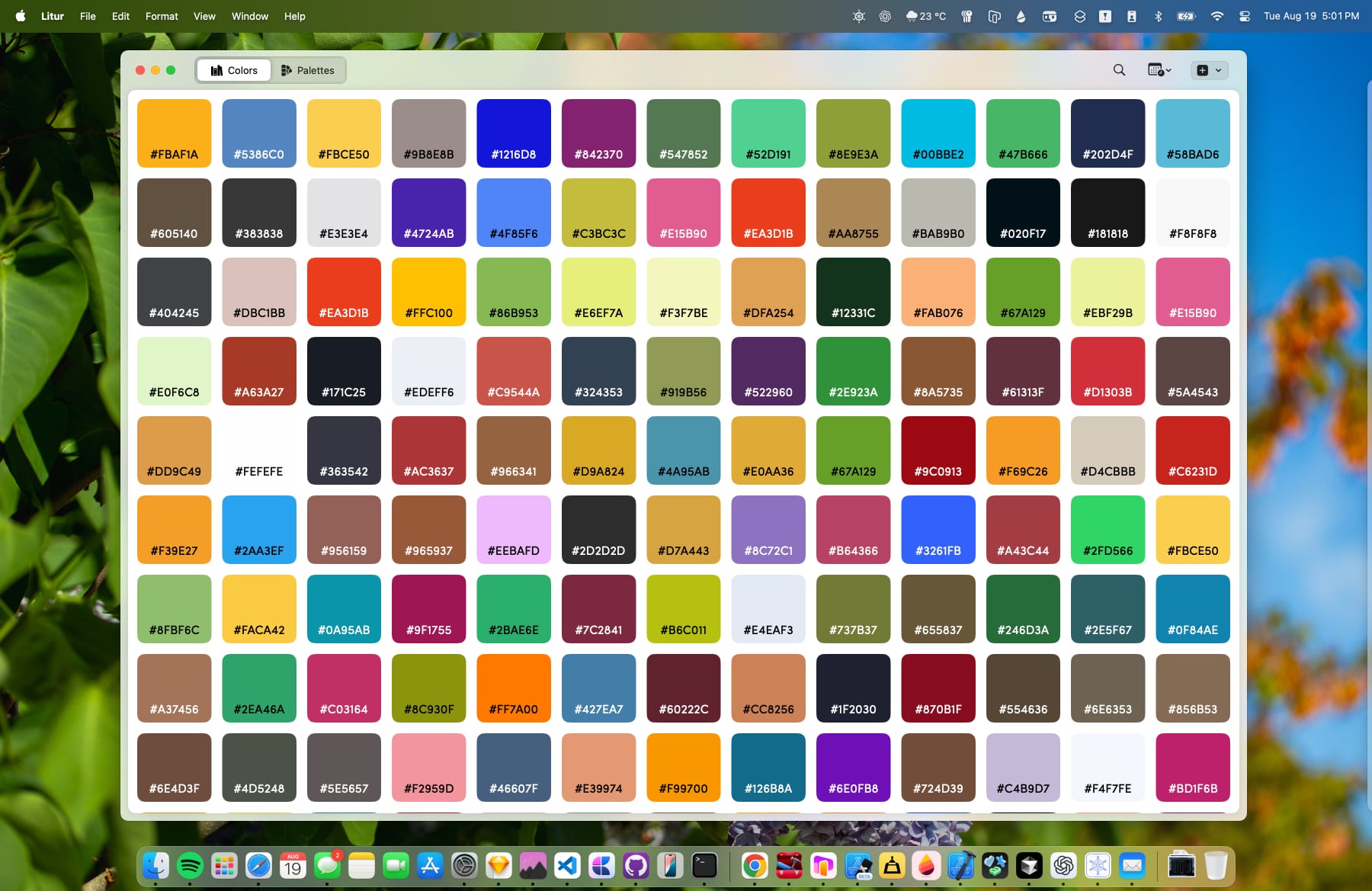 Litur Screenshot 1