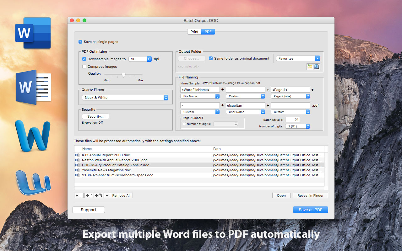BatchOutput DOC Screenshot 1
