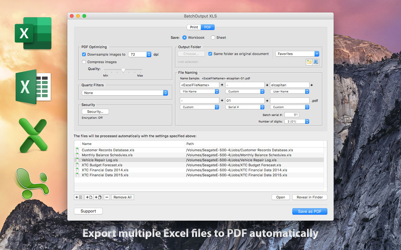BatchOutput XLS Screenshot 1