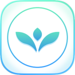 VectorView: +Photo Organizer - 1 Year Plan