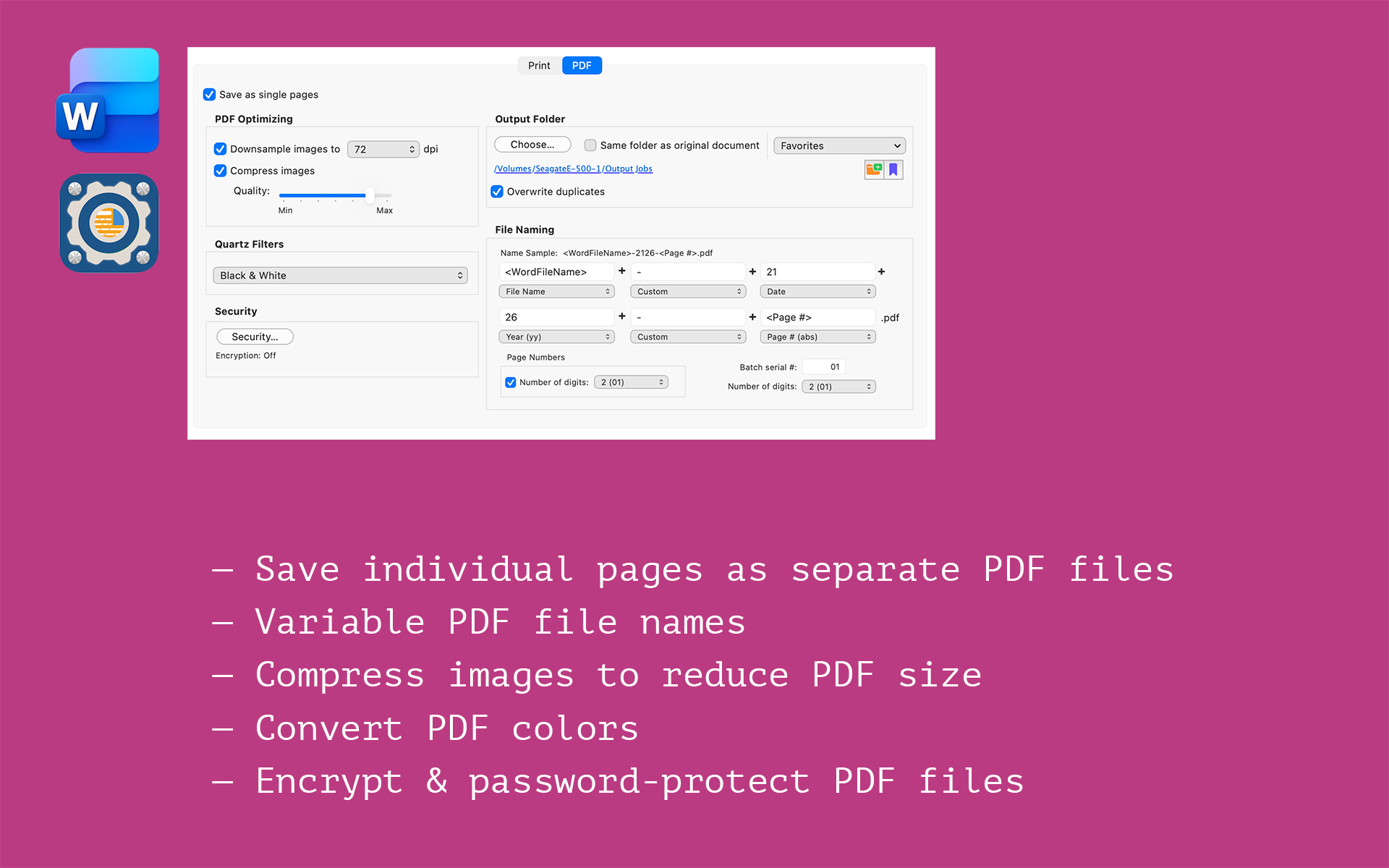 BatchOutput DOC Screenshot 1