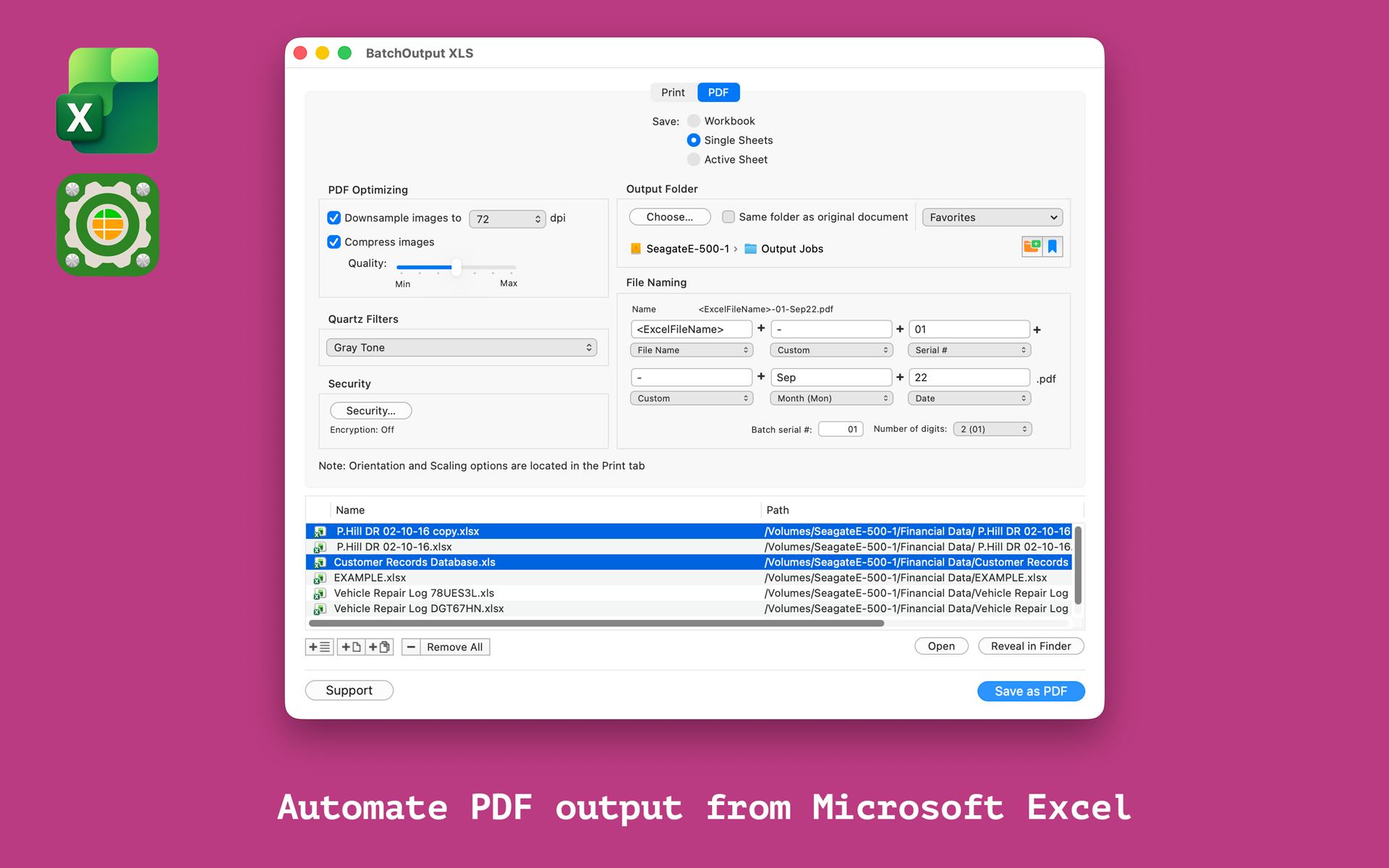 BatchOutput XLS Screenshot 1